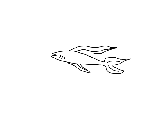 random fish I drew